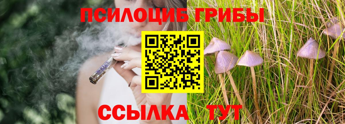 Галлюциногенные грибы мухоморы Нововоронеж